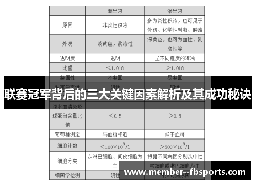 联赛冠军背后的三大关键因素解析及其成功秘诀 联赛冠军背后的三大关键因素解析及其成功秘诀