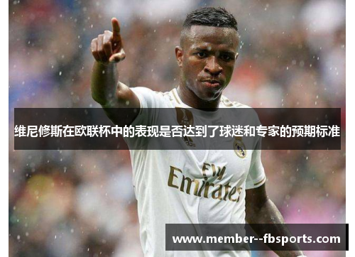 维尼修斯在欧联杯中的表现是否达到了球迷和专家的预期标准